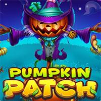 Pumpkin Patch